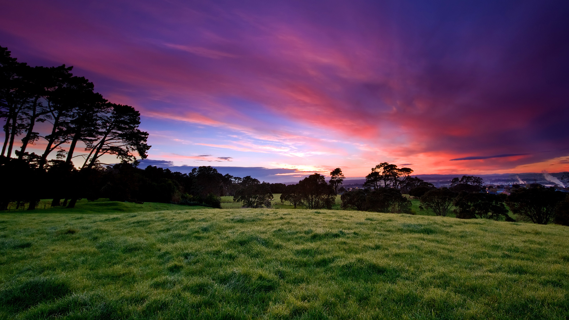 Grass Field Nature Wallpaper