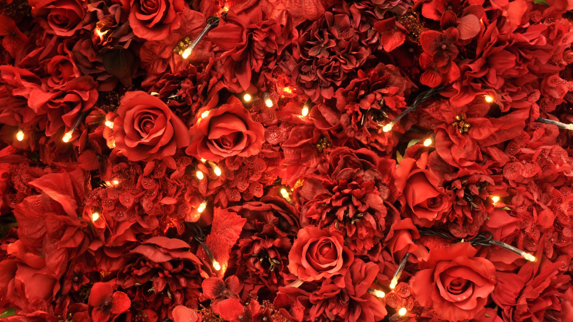 HD Flower Wallpaper Red Roses Lights 1920x1080