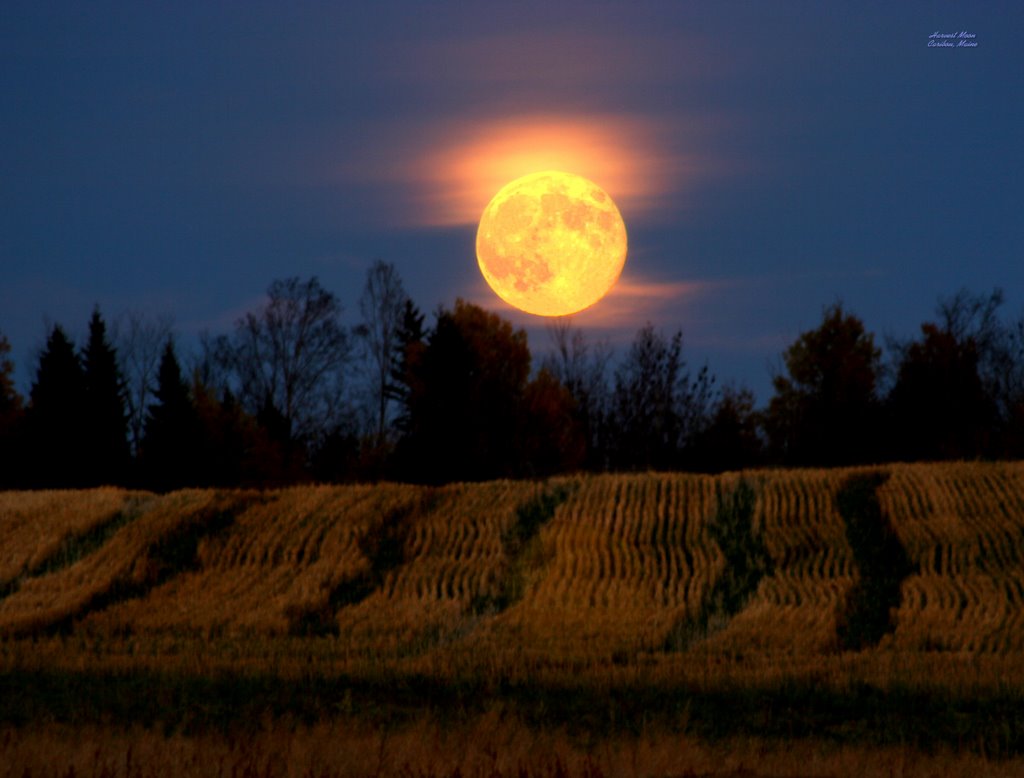 Harvest Moon HD Wallpaper - 2022 Live Wallpaper HD