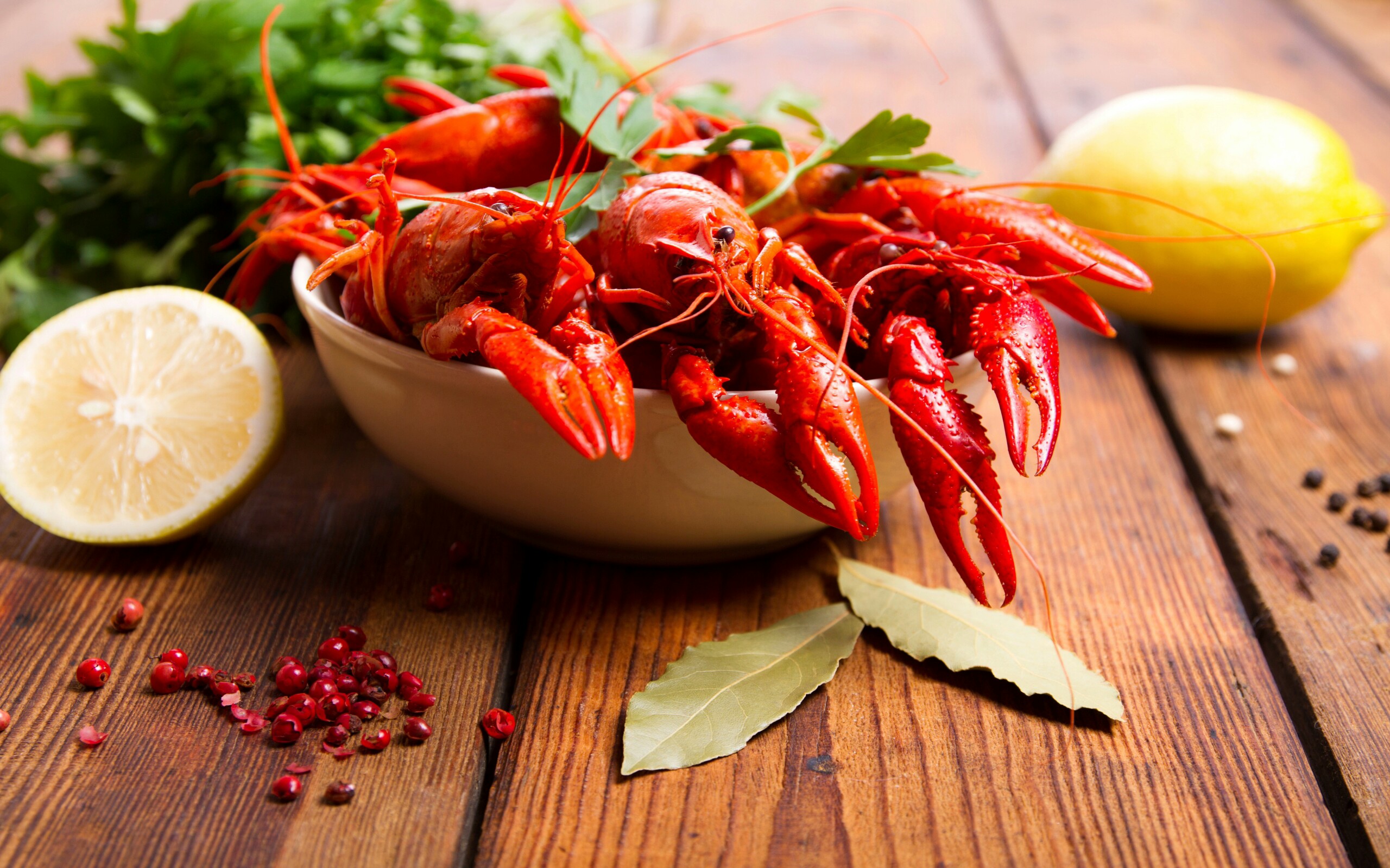 Lobster Bowl HD Wallpaper 2560x1600