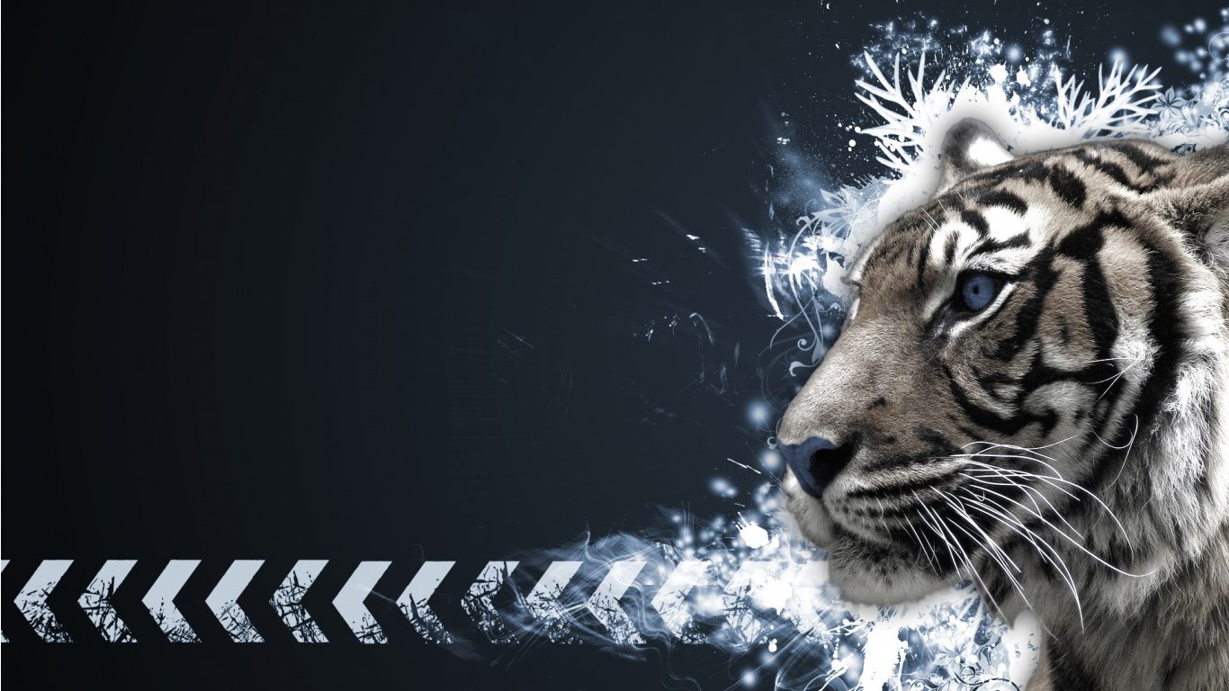 Nice White Tiger 1366x768