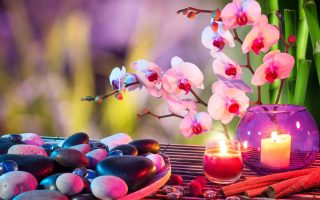 Orchids Candles Stones Wallpaper