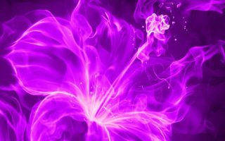 Purple Flower Art Wallpaper iPhone