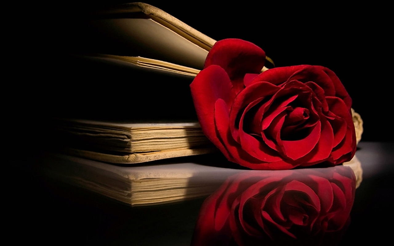 Red Rose Book 1280x800