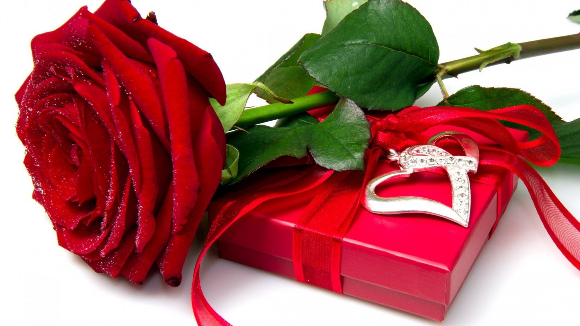 Red Rose Box | 2021 Live Wallpaper HD