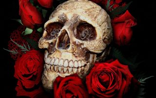Skull Red Rose Wallpaper HD