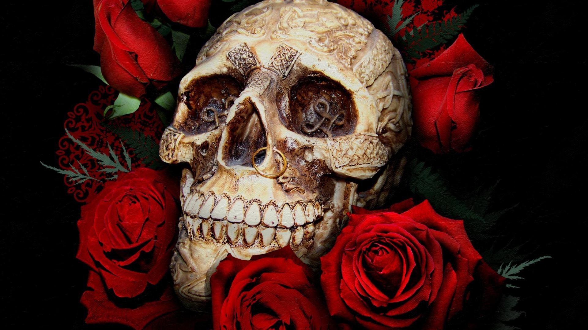 Skull Red Rose Wallpaper HD 1920x1080