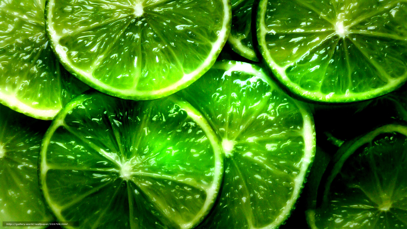 Wallpaper Green Citrus 1600x900