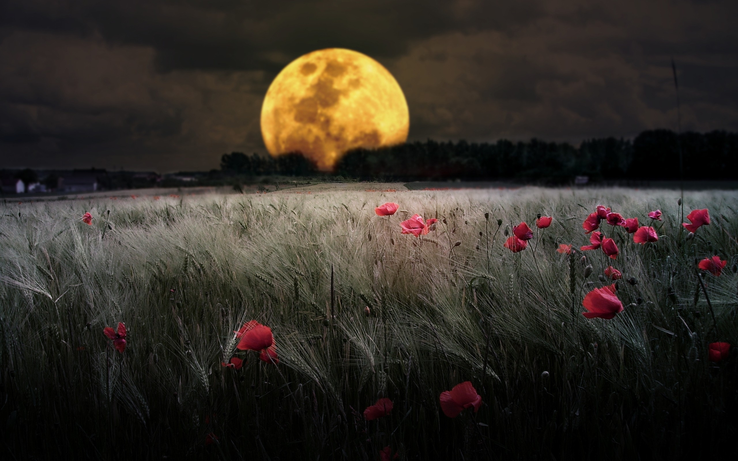 Wallpaper Harvest Moon HD - Live Wallpaper HD