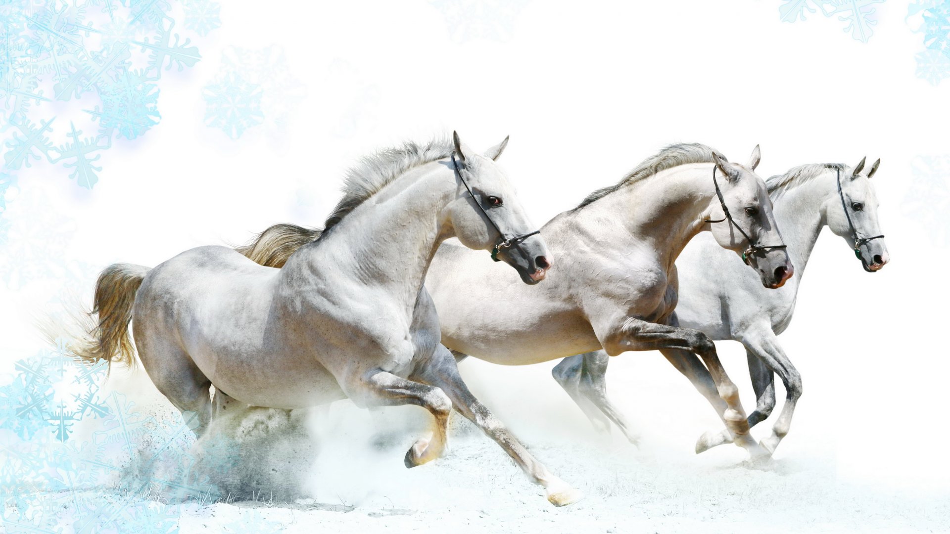 White Horses 1920x1080