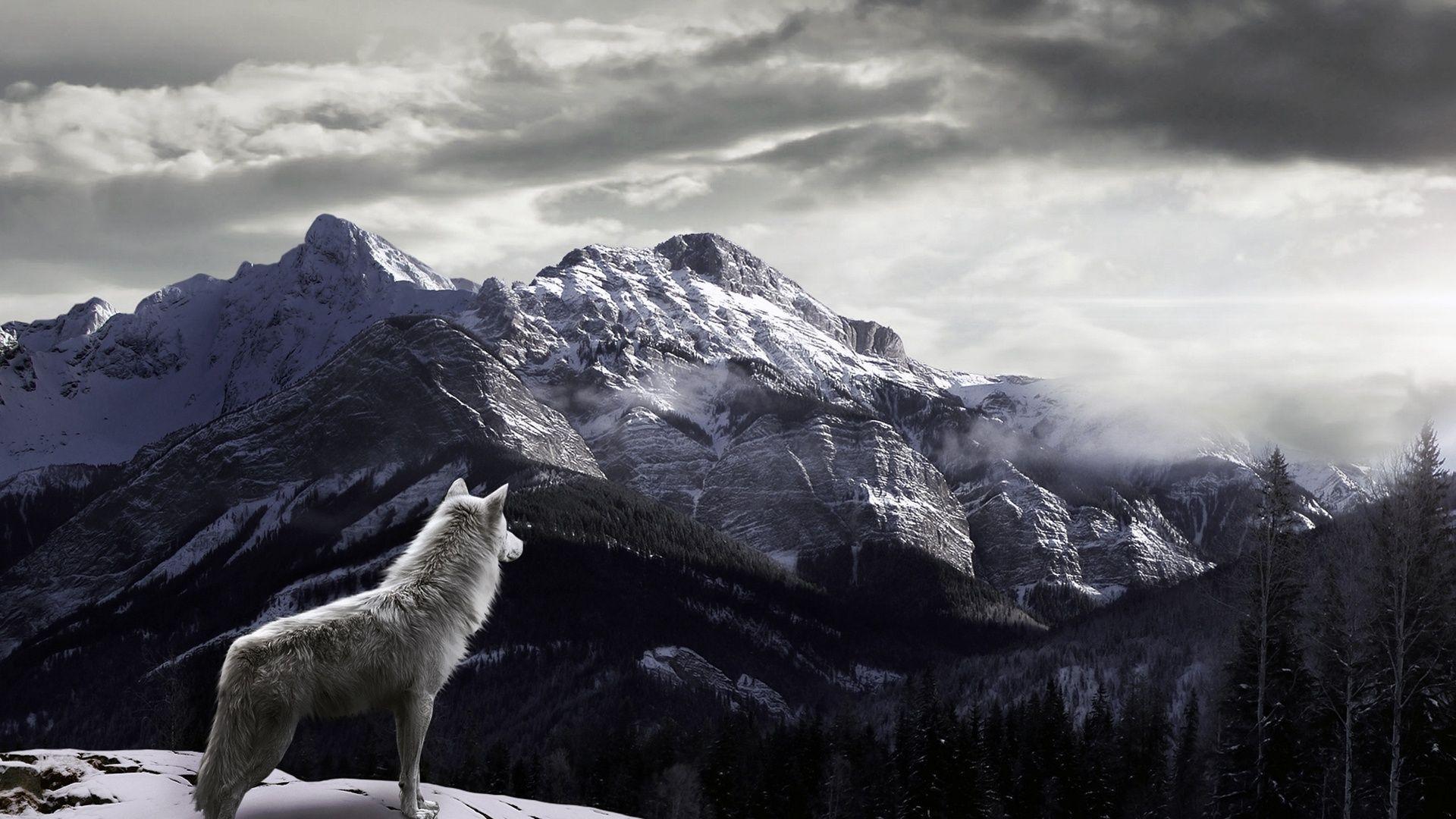 White Wolf Mountain Wallpaper HD 1920x1080