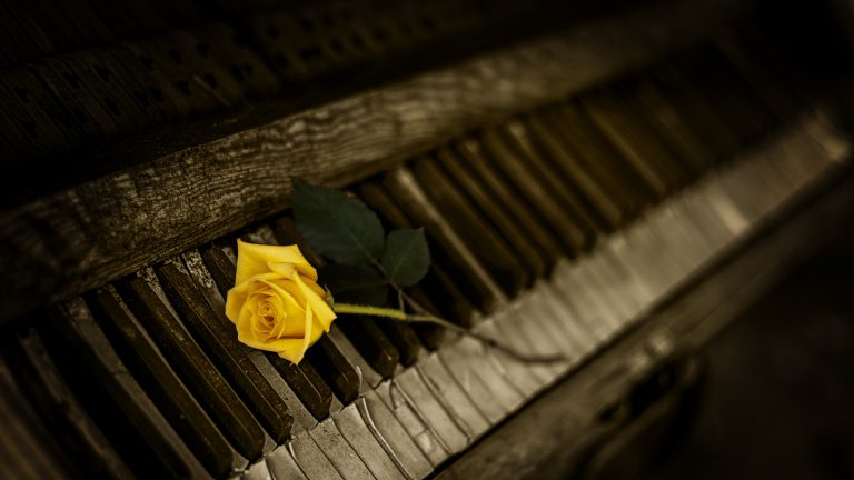 Piano Rose HD Wallpaper - Live Wallpaper HD