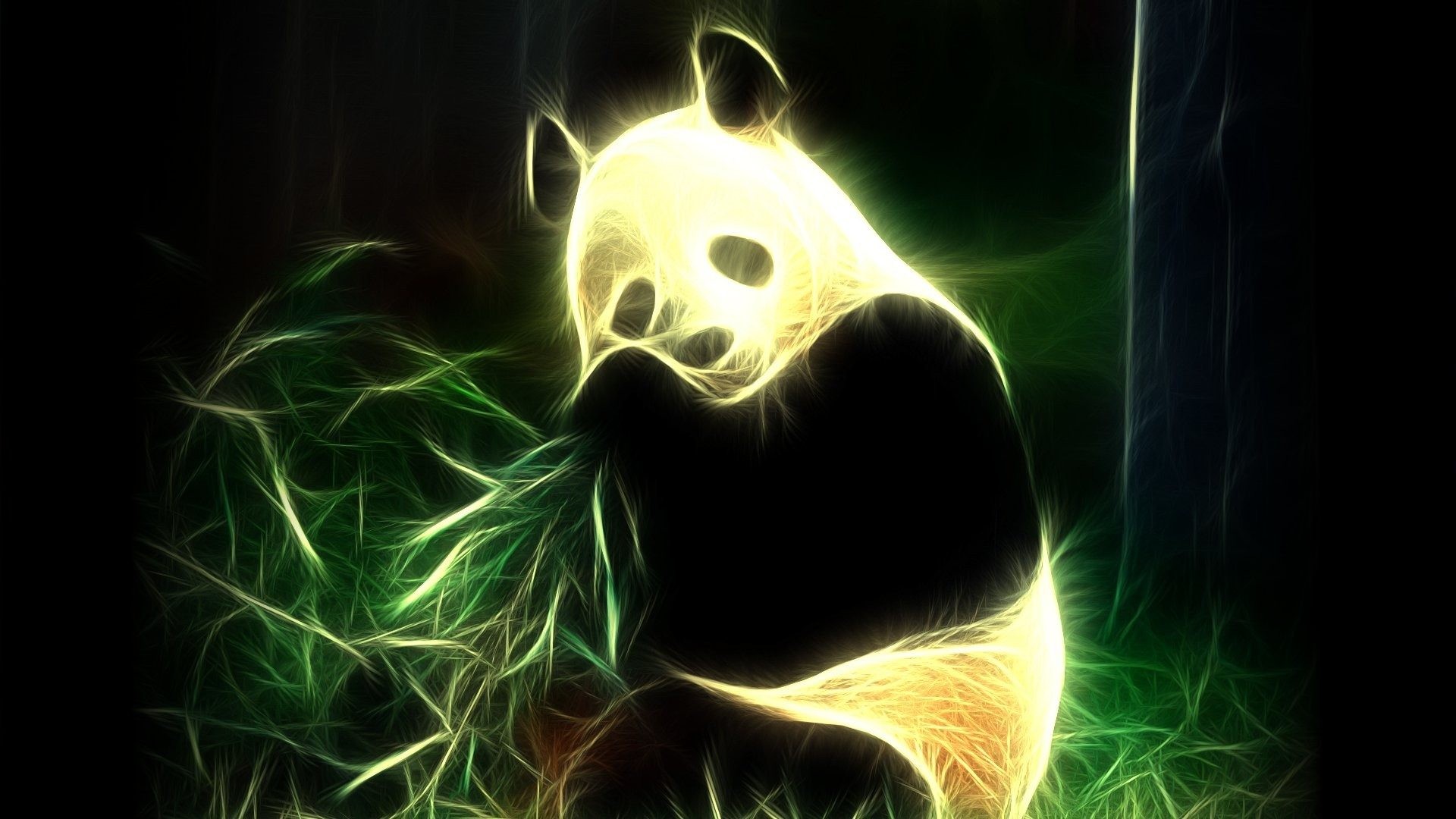 Cute Panda Pictures Wallpaper 1920x1080