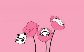 Cute Pink Panda Wallpaper