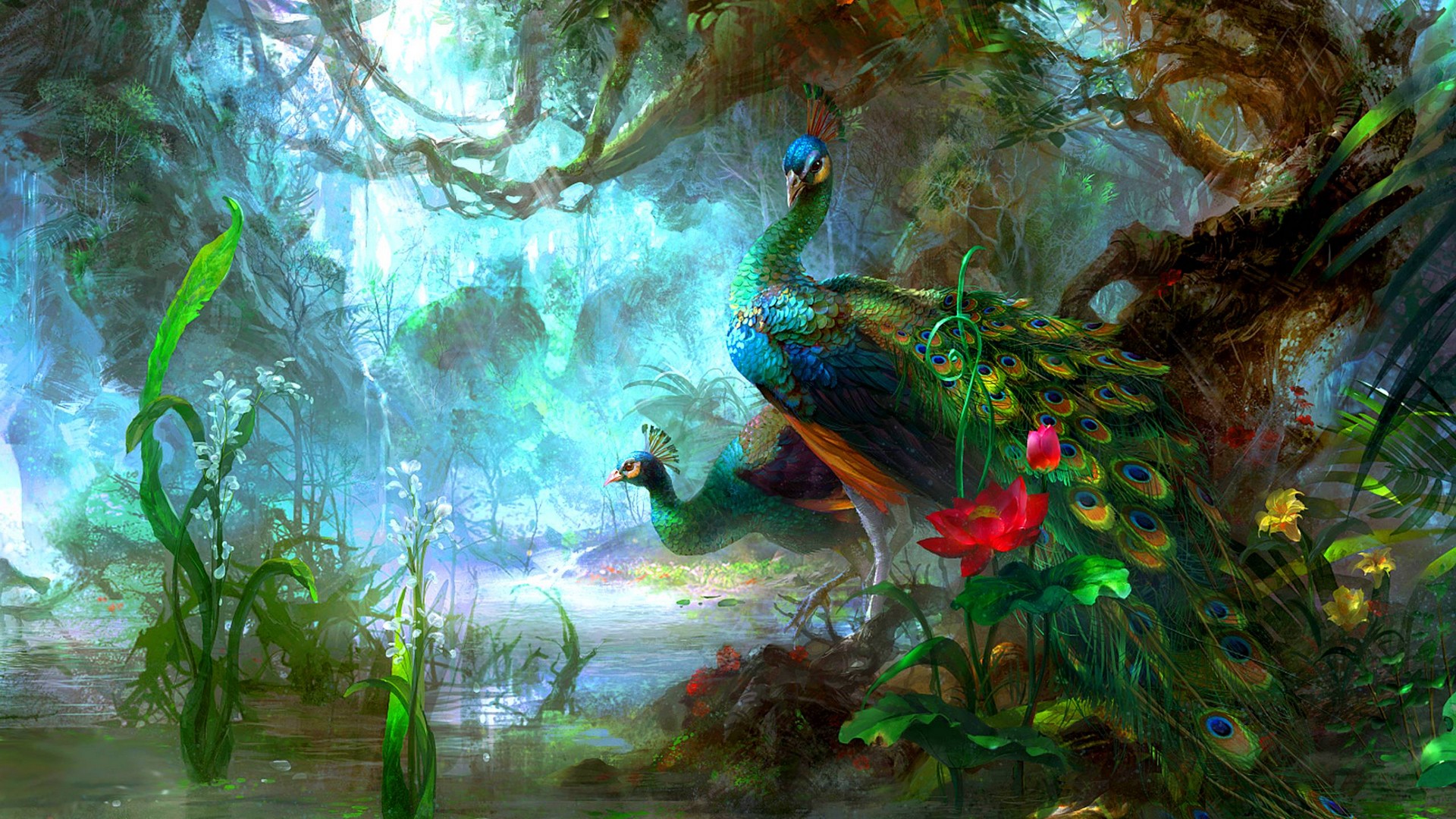 Peacock Laptop Wallpaper 1920x1080