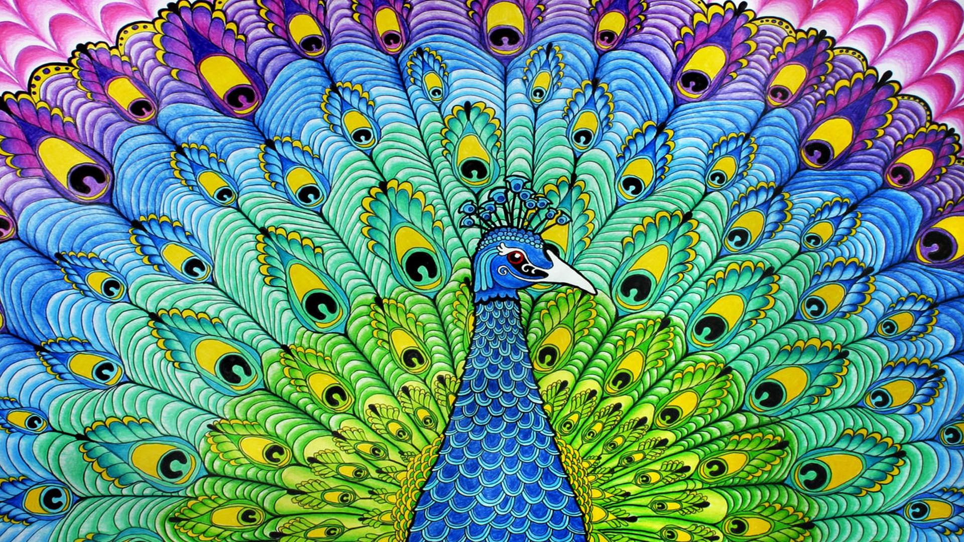 Peacock Painting Wallpaper 1920x1080