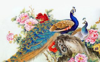Peacock Wallpaper Art