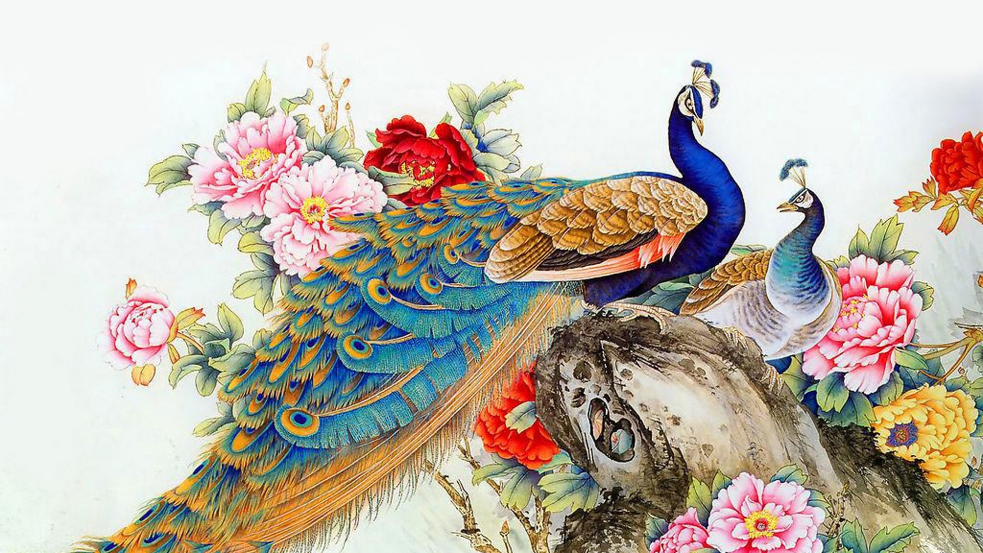 Peacock Wallpaper Art 1920x1080