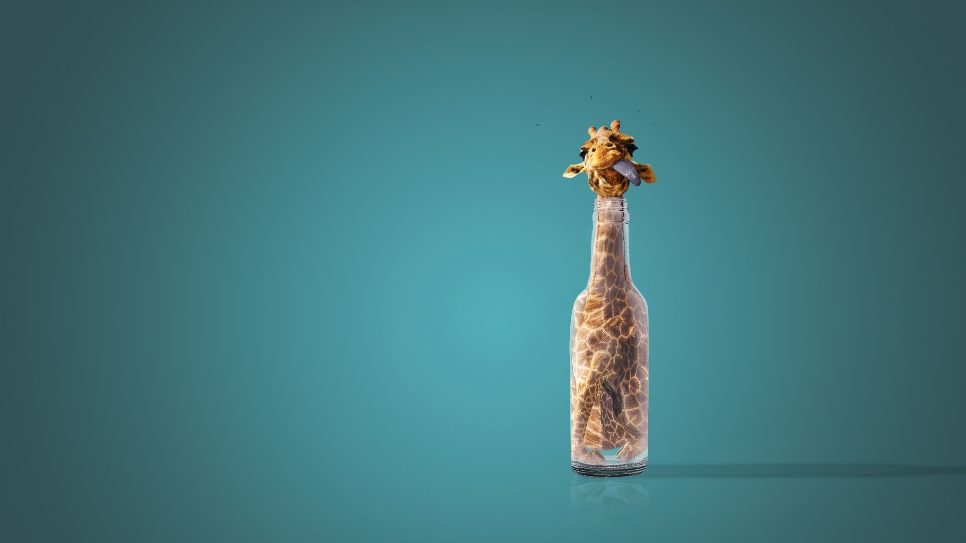 Giraffe Baby Wallpaper 1920x1080