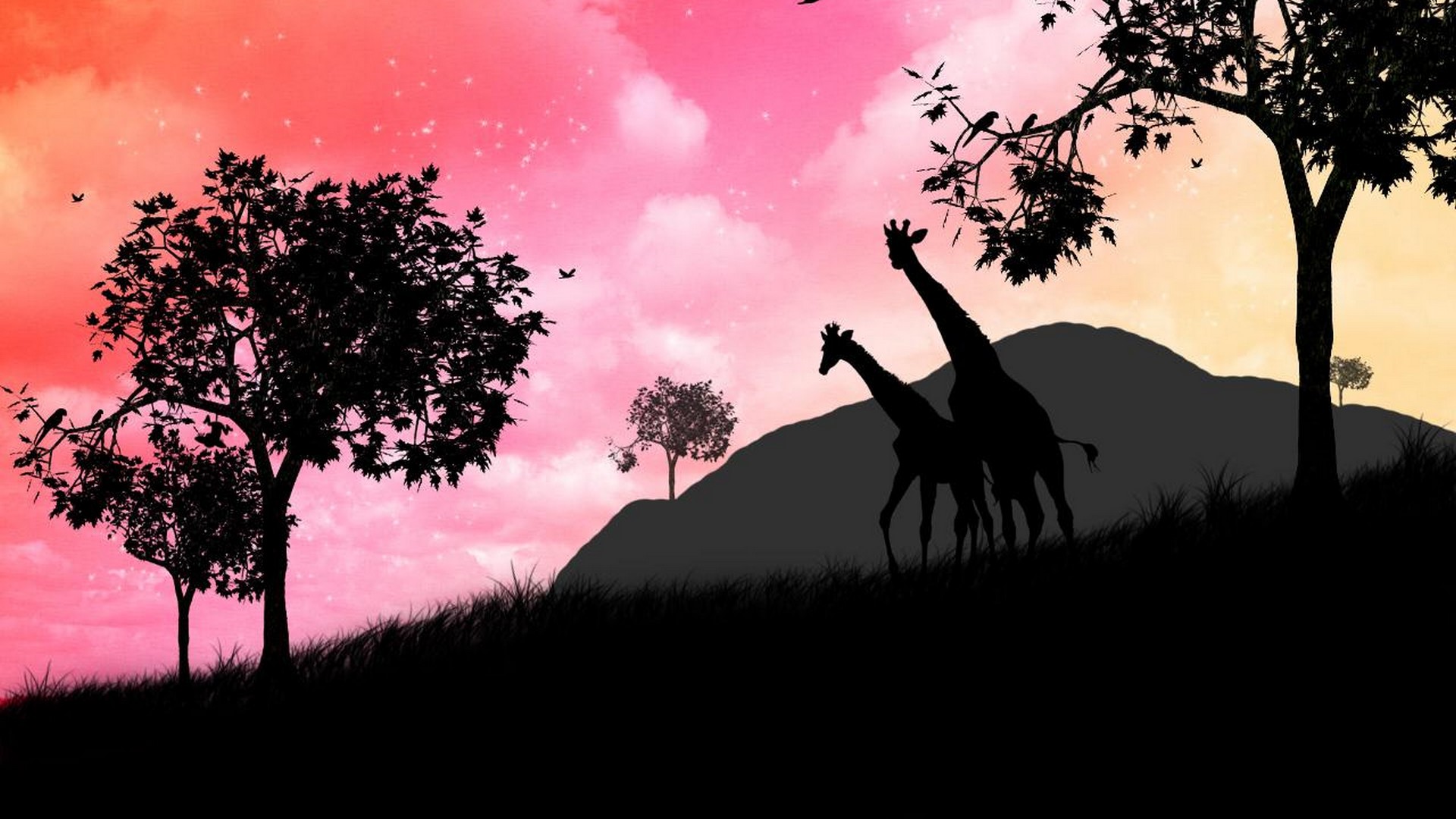 Giraffe Wallpaper For Walls