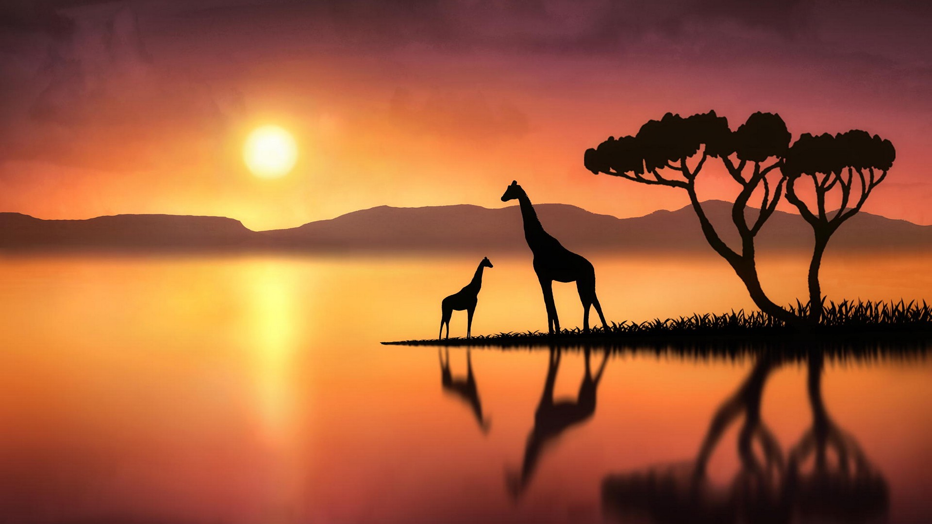 Giraffe Wallpaper HD 1920x1080