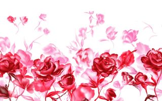 Valentines Day Wallpapers Roses