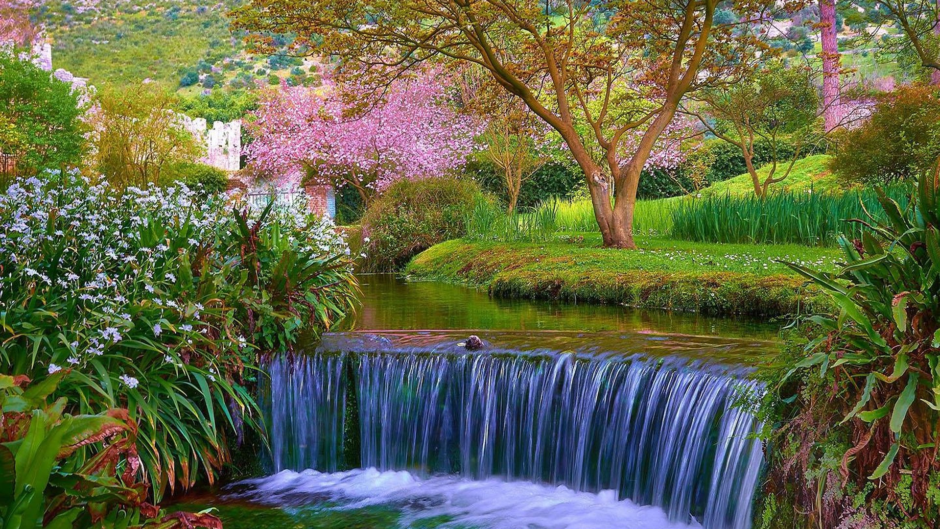 Beautiful Spring Background Wallpaper HD With Resolution 1920X1080