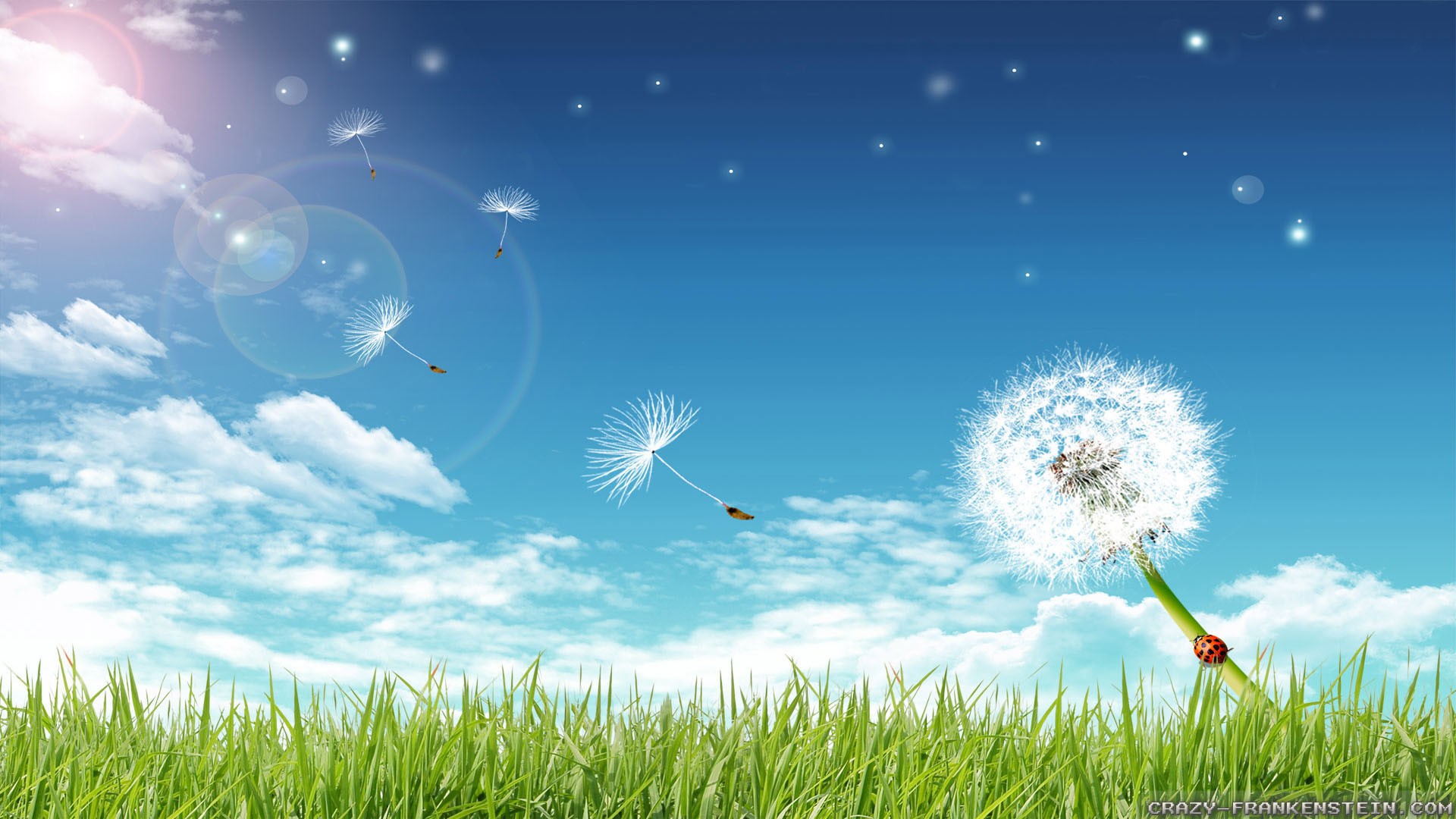 Hello Spring Desktop Backgrounds With Resolution 1920X1080