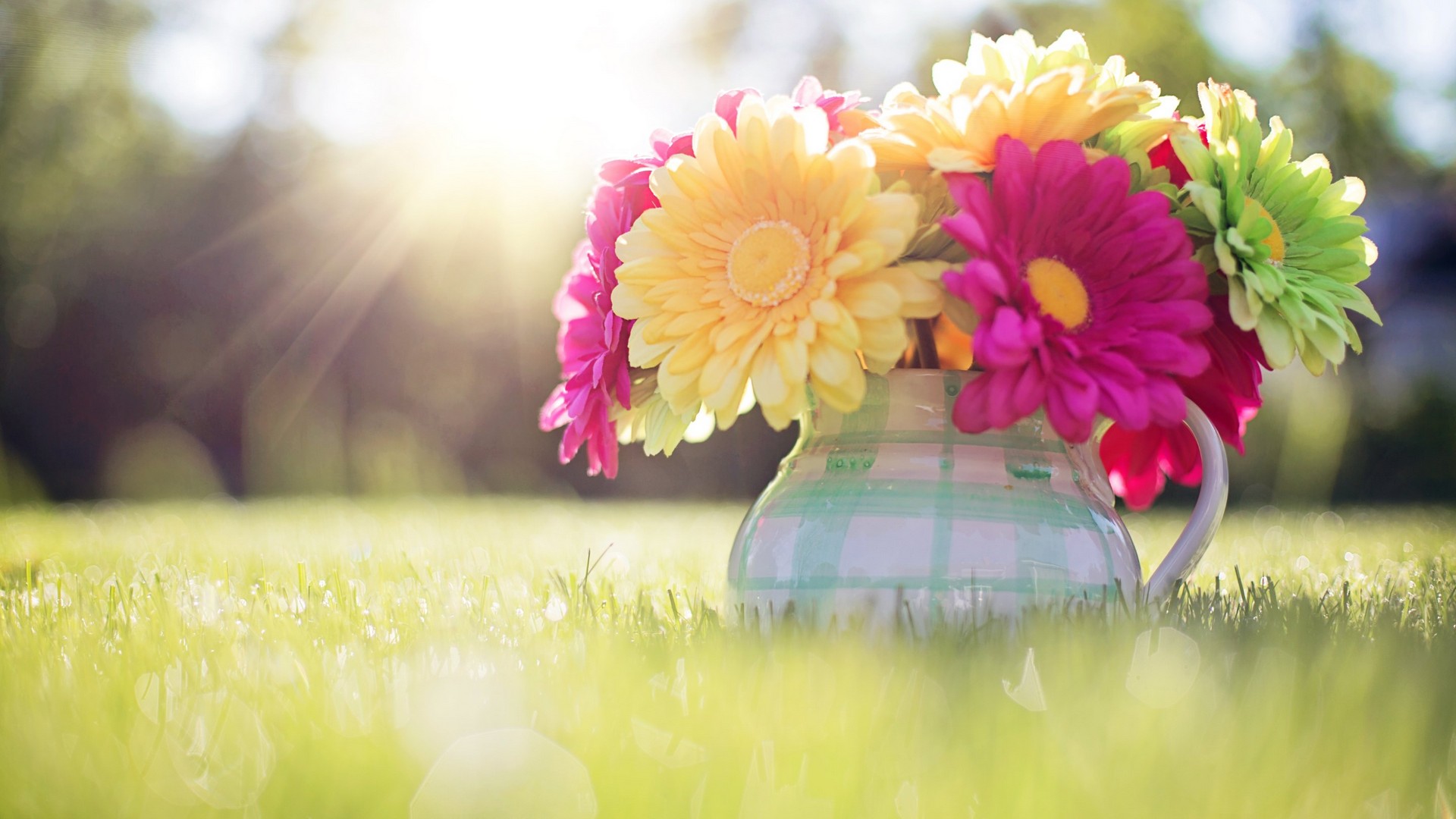 Spring Flowers HD Backgrounds With Resolution 1920X1080