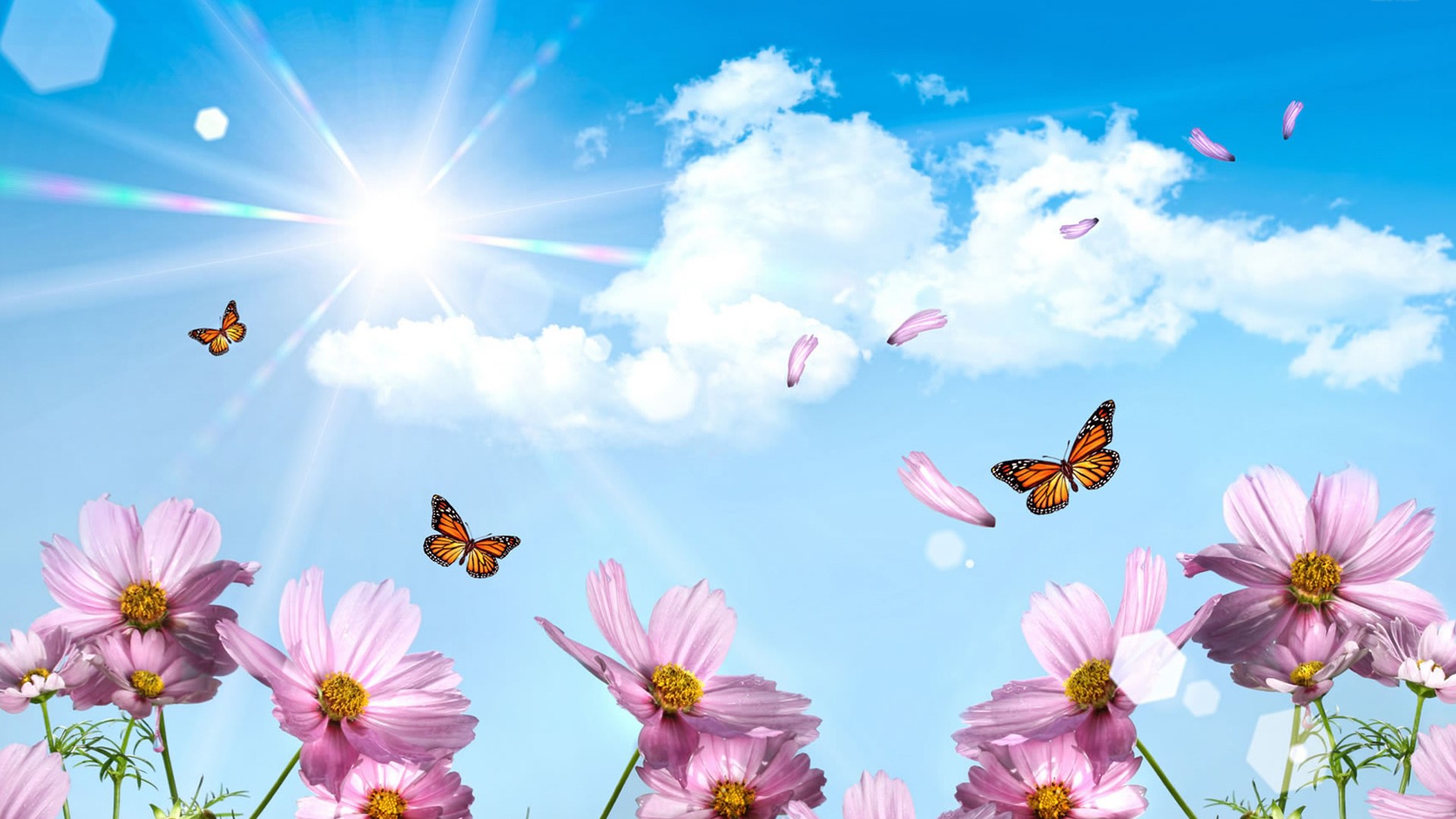 Wallpaper HD Hello Spring With Resolution 1920X1080