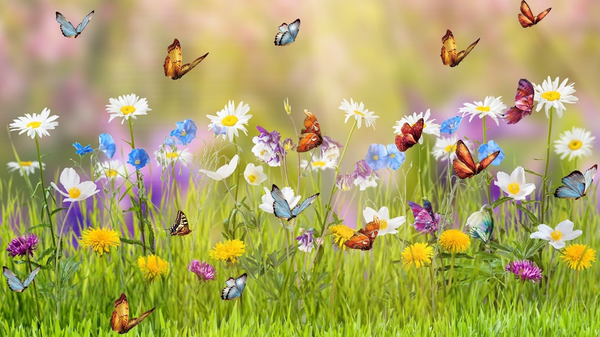 Wallpaper HD Spring With Resolution 1920X1080