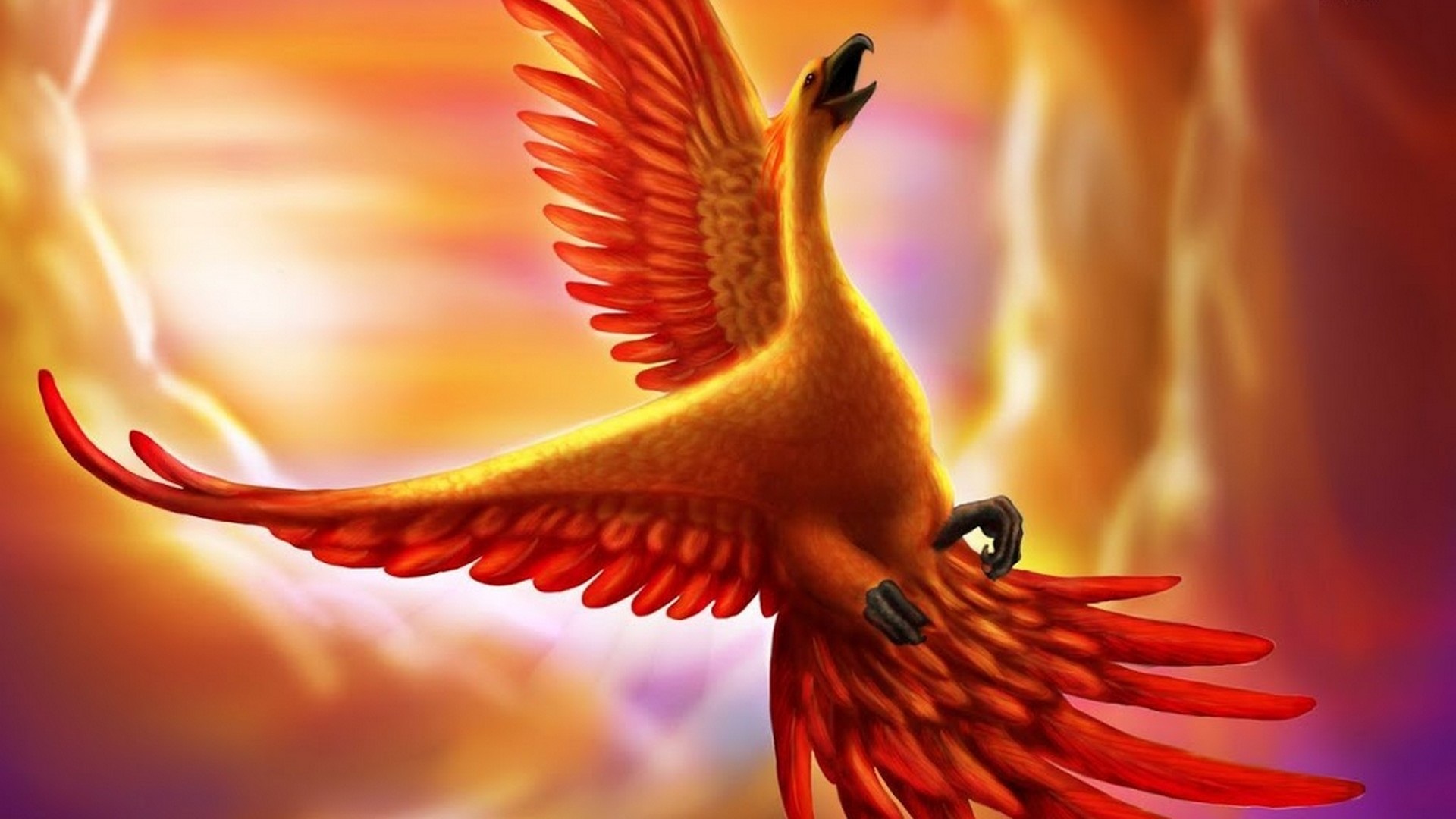 Best Phoenix Images Wallpaper HD With Resolution 1920X1080 pixel. You can make this wallpaper for your Desktop Computer Backgrounds, Mac Wallpapers, Android Lock screen or iPhone Screensavers