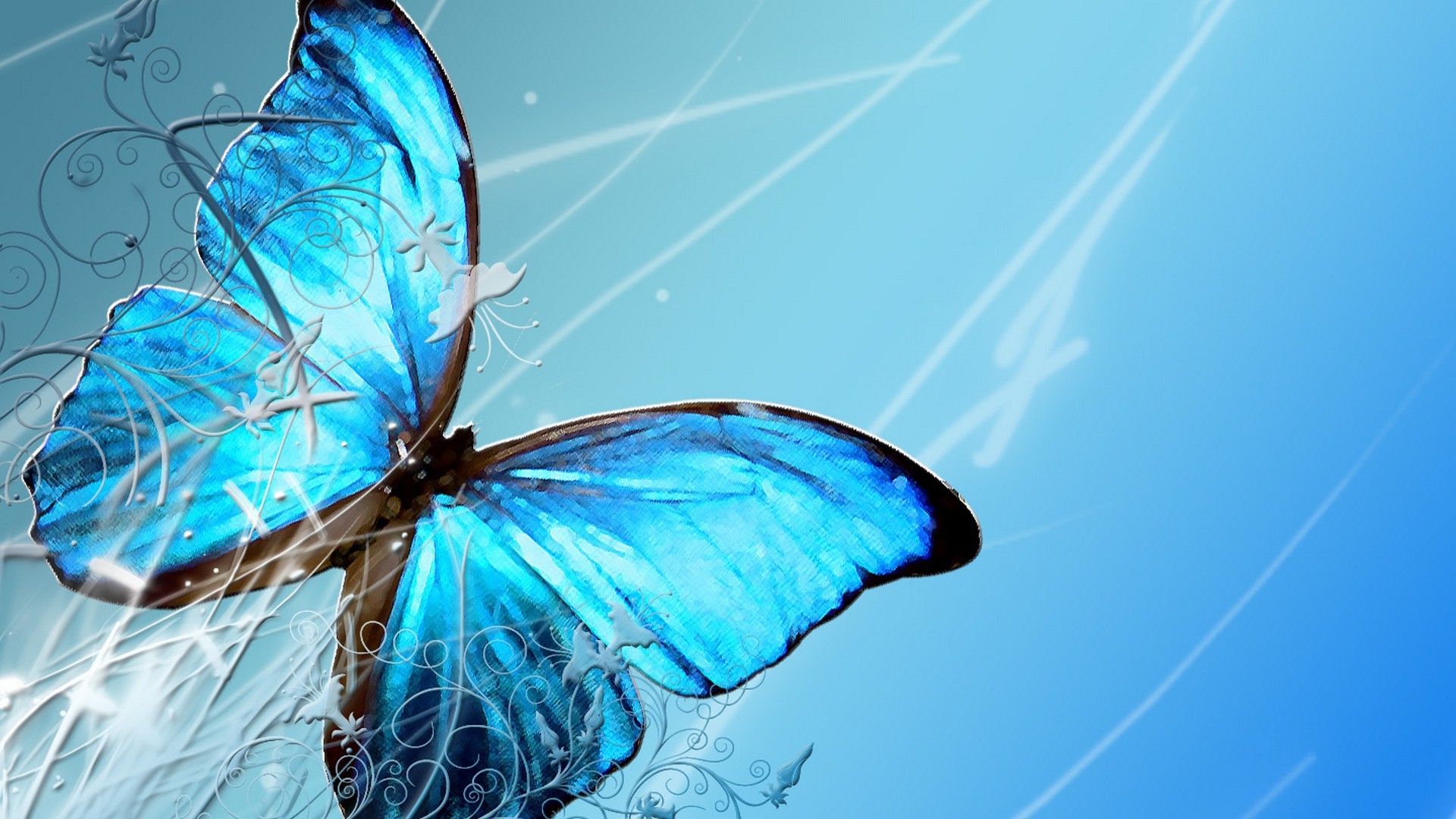 Blue Butterfly HD Backgrounds With Resolution 1920X1080