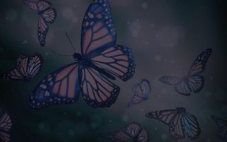 Butterfly Design HD Backgrounds With Resolution 1920X1080