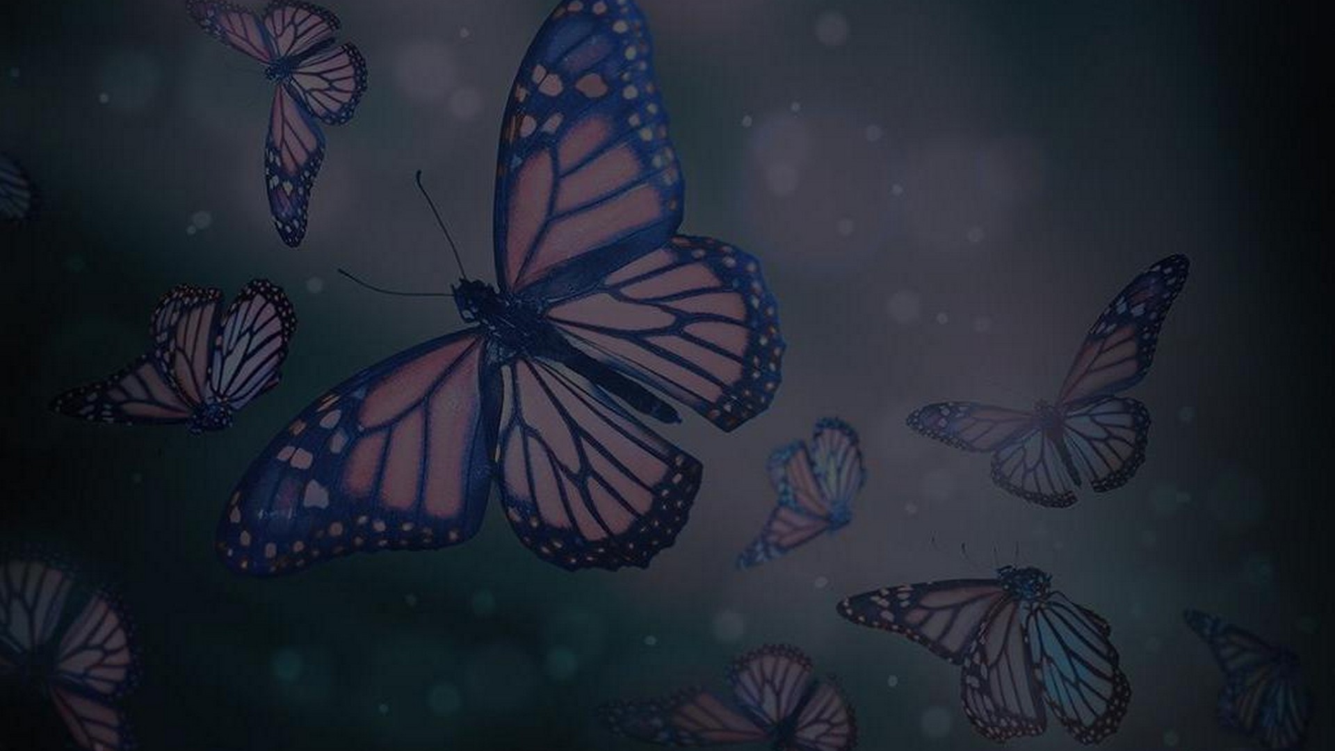Butterfly Design HD Backgrounds 1920x1080