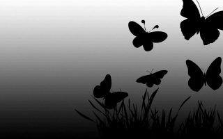 Butterfly Design Wallpaper HD With Resolution 1920X1080