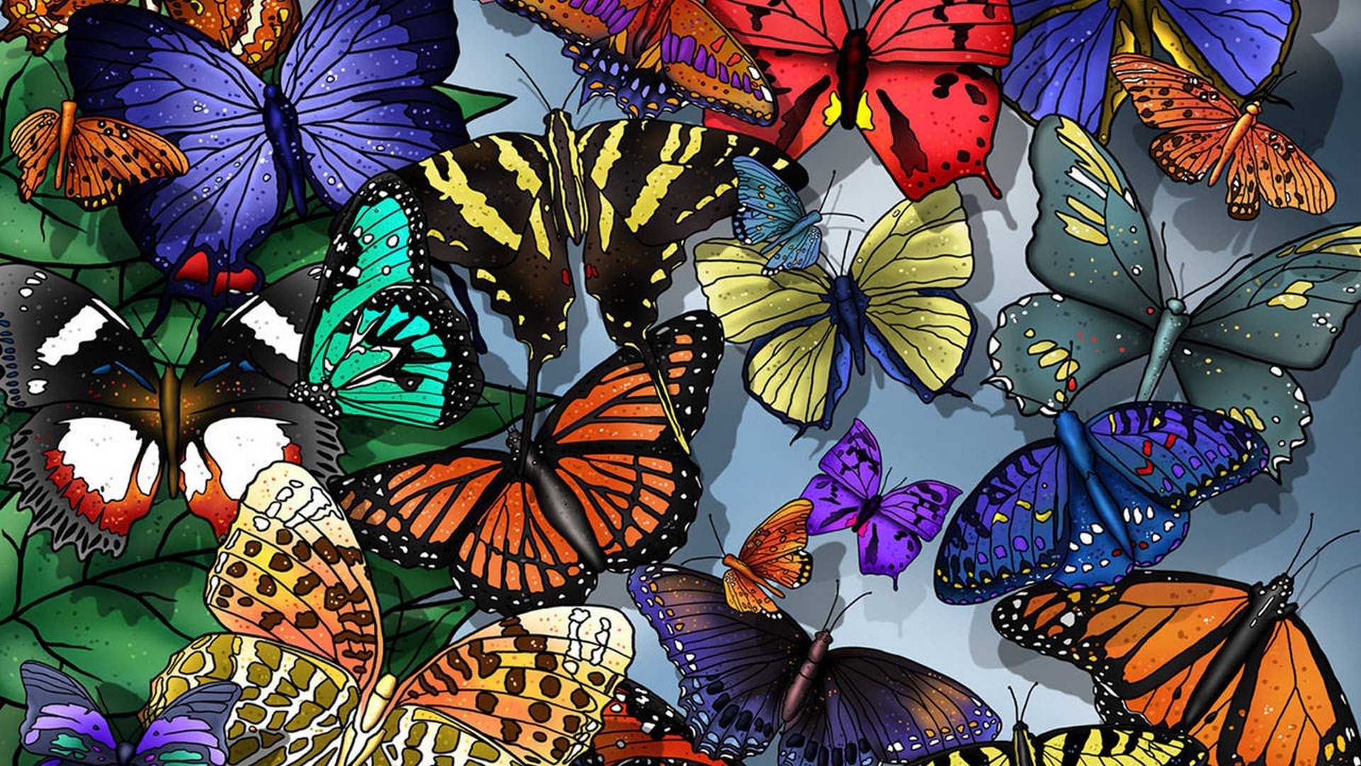 Butterfly Desktop Backgrounds With Resolution 1920X1080