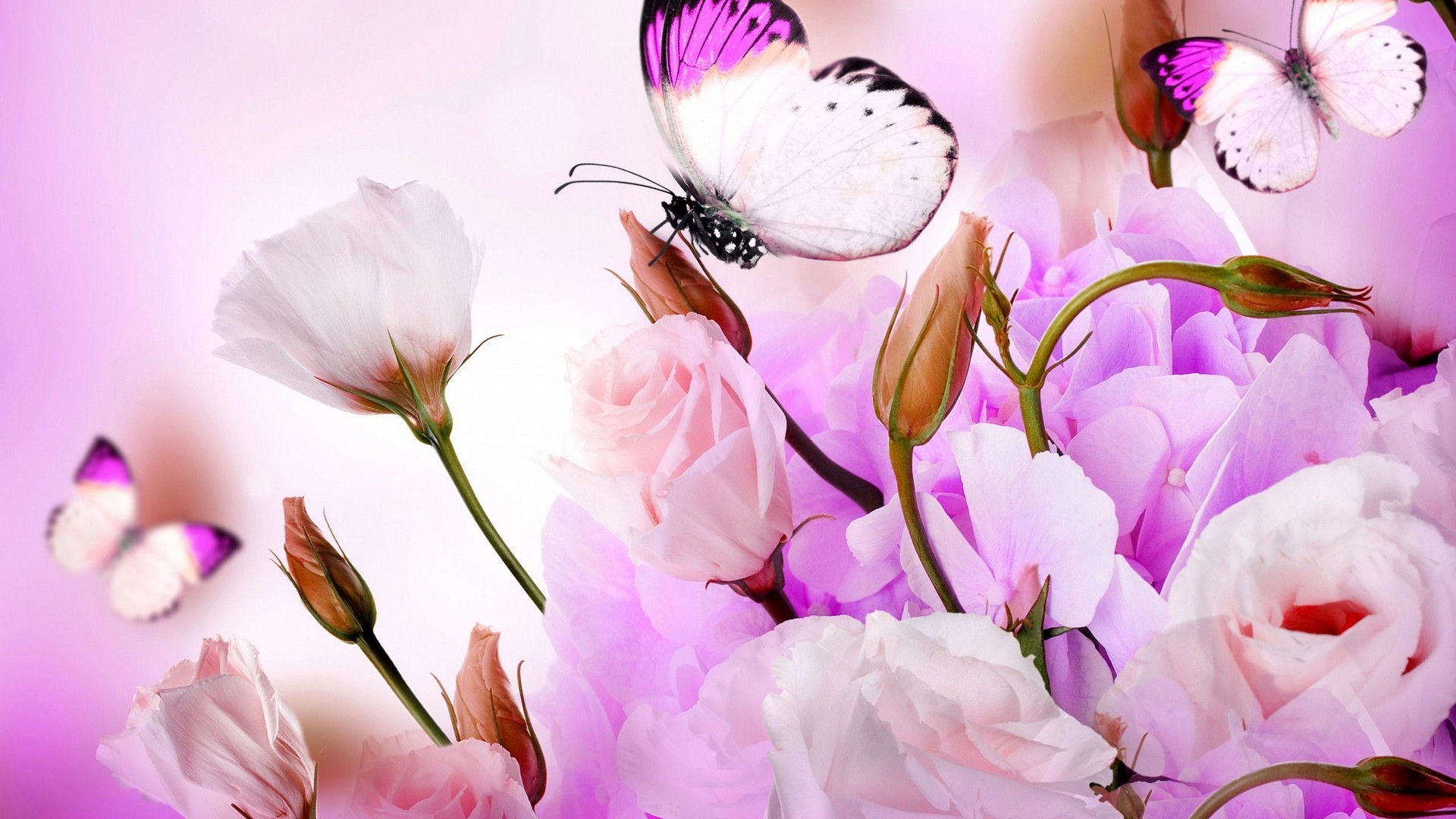 HD Wallpaper Butterfly Design With Resolution 1920X1080