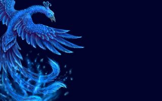 HD Wallpaper Ice Phoenix With Resolution 1920X1080 pixel. You can make this wallpaper for your Desktop Computer Backgrounds, Mac Wallpapers, Android Lock screen or iPhone Screensavers