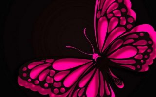 HD Wallpaper Pink Butterfly With Resolution 1920X1080