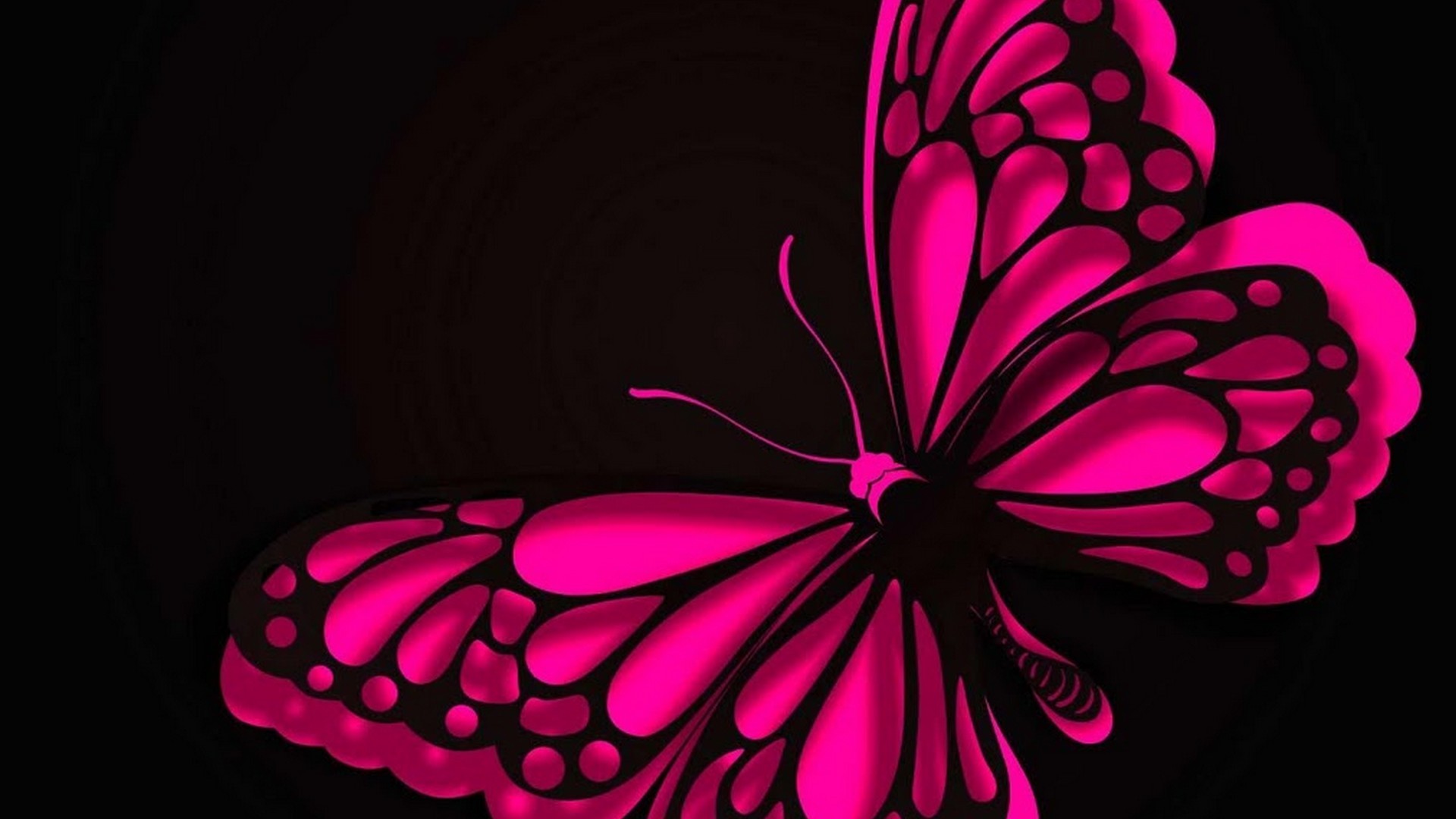 HD Wallpaper Pink Butterfly With Resolution 1920X1080