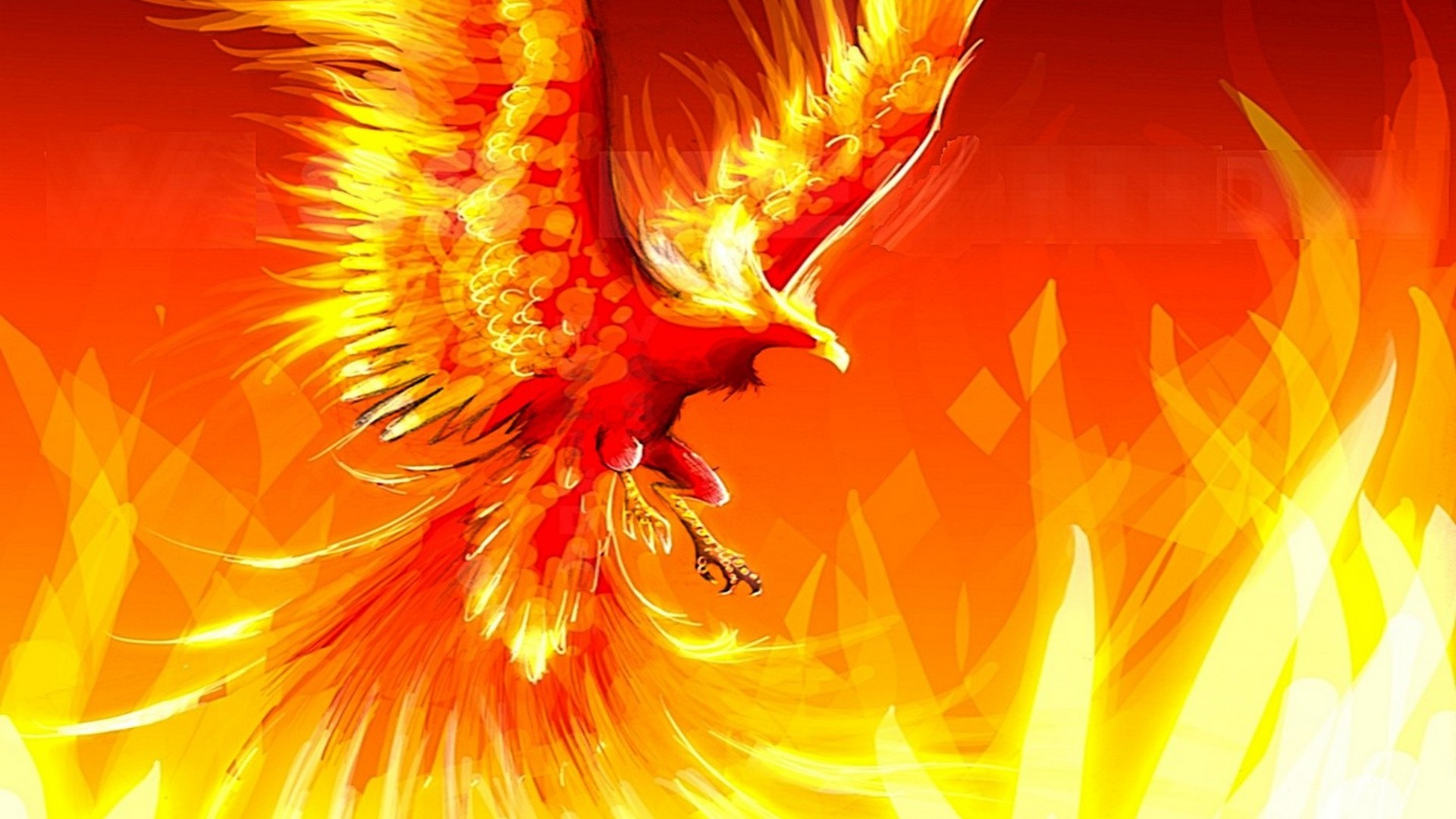 Phoenix Bird HD Wallpaper With Resolution 1920X1080 pixel. You can make this wallpaper for your Desktop Computer Backgrounds, Mac Wallpapers, Android Lock screen or iPhone Screensavers