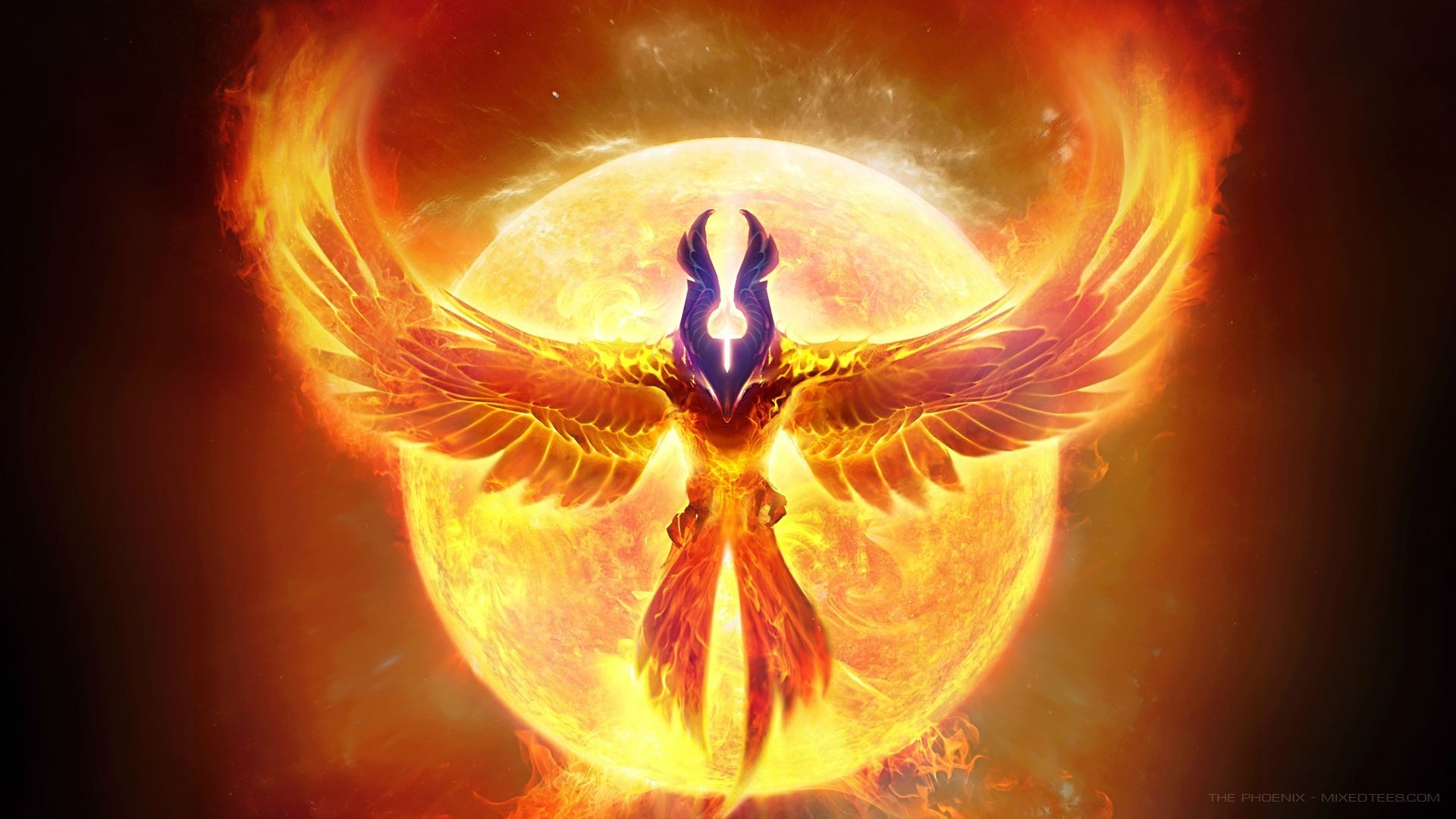 Phoenix Images HD Backgrounds - Live Wallpaper HD