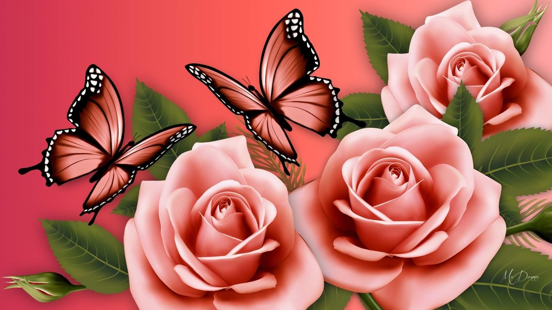 Pink Butterfly Desktop Backgrounds With Resolution 1920X1080