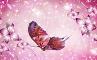 Pink Butterfly HD Wallpaper With Resolution 1920X1080