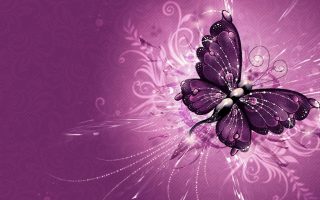 Purple Butterfly Desktop Backgrounds With Resolution 1920X1080