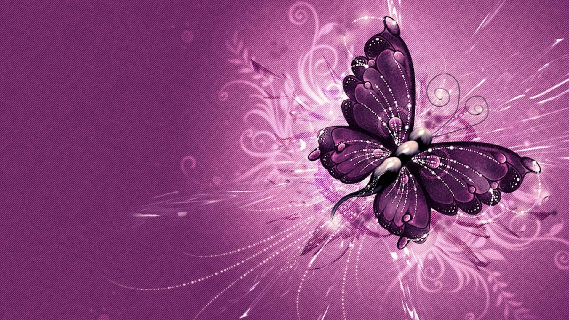 Purple Butterfly Desktop Backgrounds 1920x1080