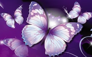 Purple Butterfly HD Wallpaper With Resolution 1920X1080