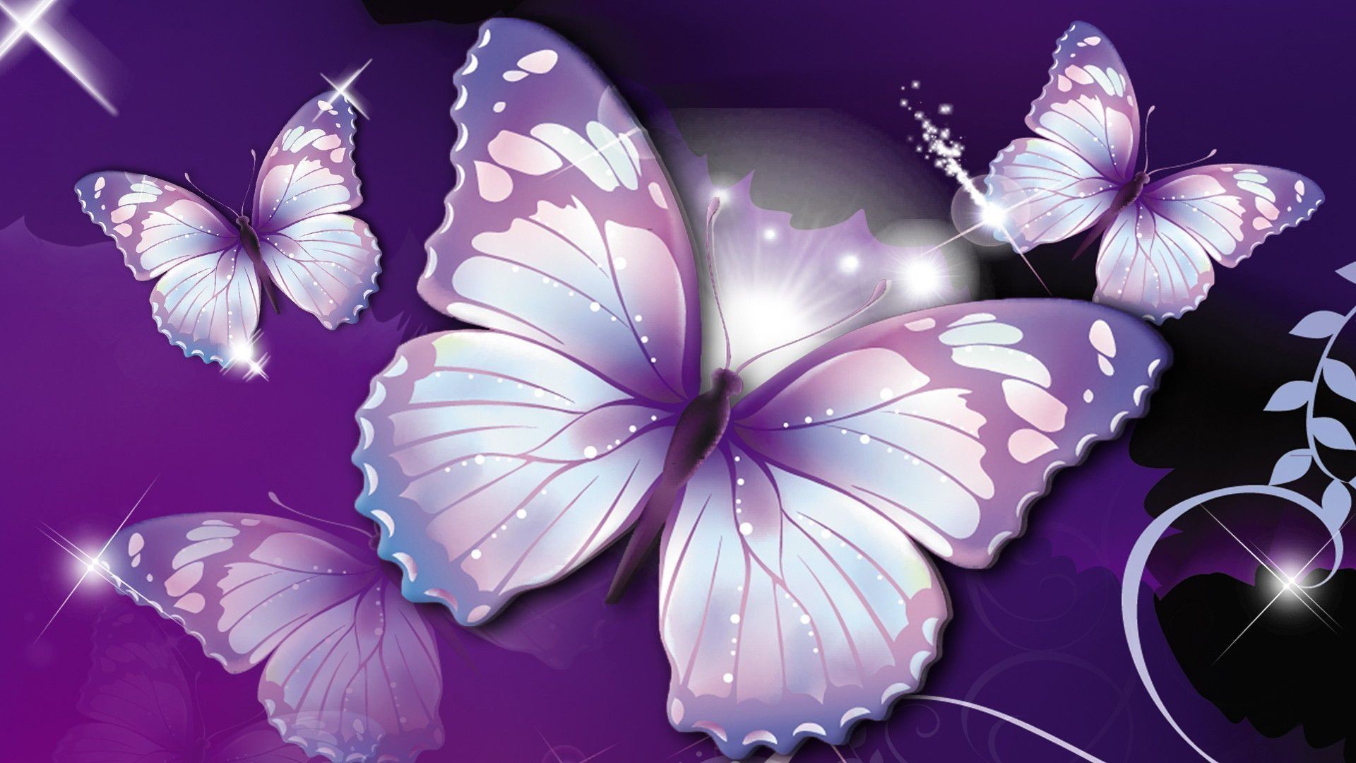 Purple Butterfly HD Wallpaper 1920x1080