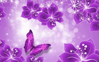 Purple Butterfly Wallpaper HD With Resolution 1920X1080
